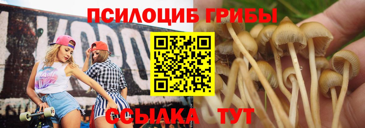 Псилоцибиновые грибы мухоморы  Галлюциногенные грибы мицелий  Новотроицк  Вход с VPN 