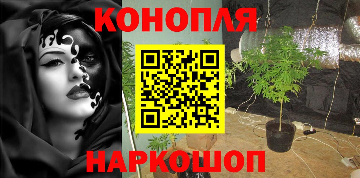 Бошки марихуана конопля  Каннабис тримм  Новотроицк  Шишки марихуана Bruce Banner  МАРИХУАНА план  Вход с VPN 